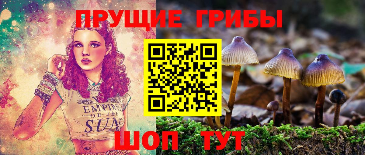 Королёв  Галлюциногенные грибы Magic Shrooms  сколько стоит  Вход с VPN 